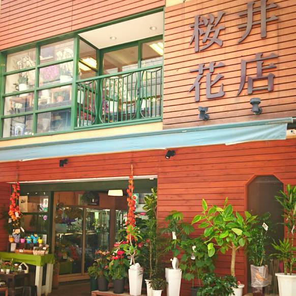「桜井花店」　（広島県広島市中区）の花屋店舗写真1